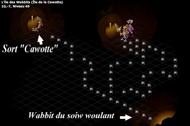 Chemin salle des trous // salle noire : sort cawotte//wabbit du soiw woulant - VERSION 2.15 dernière version Chemin13