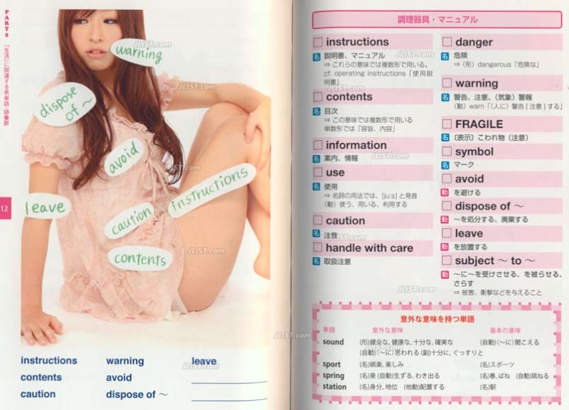 English Dictionary for Adult ~ Otona no Eitango Cho ... ROFL 510