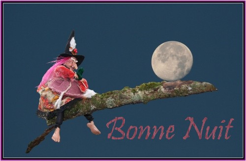 bonzour bonne zournée et bonne nuit notre ti nid za nous - Page 26 Object11