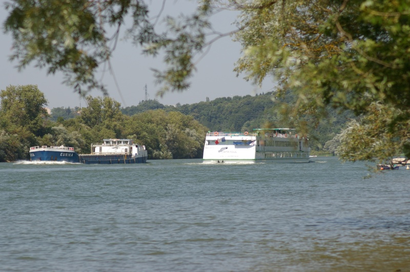 quelques photos prise sur la saone Imgp2748