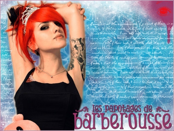 Les papotages de Barberousse