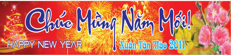 happy new year 2011 12928110