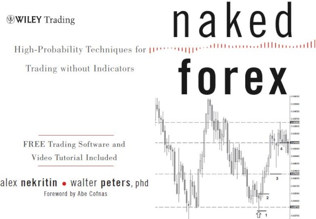 Naked Forex- Trading without indicators Naked-10