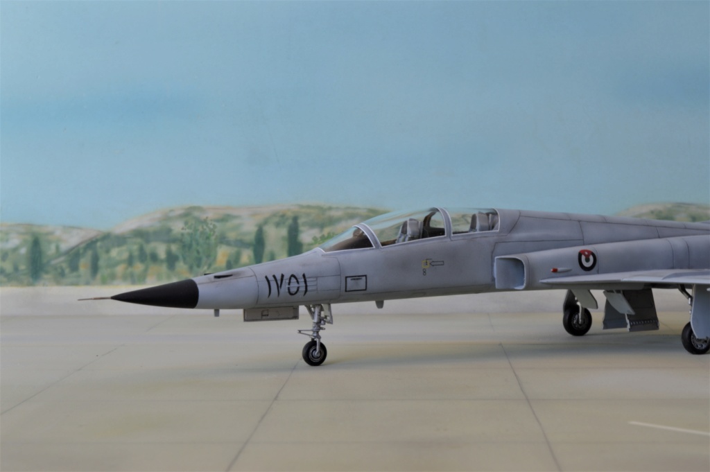 F 5F Tiger II  Jordan AF   Italeri + Hobby Boss  1/72 Dsc_0258