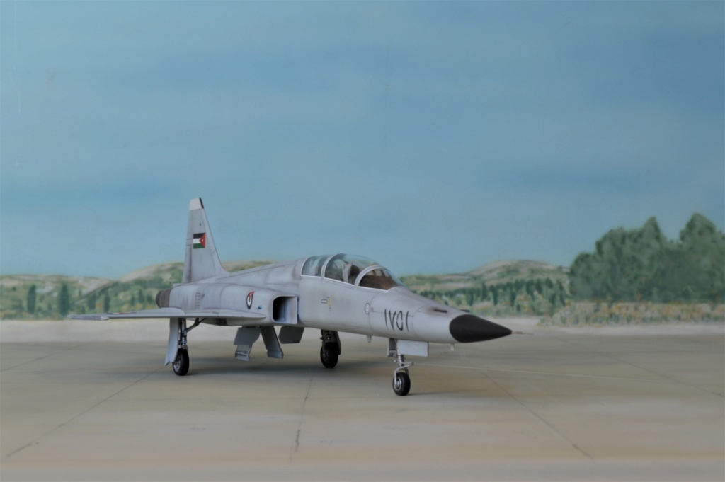 F 5F Tiger II  Jordan AF   Italeri + Hobby Boss  1/72 Dsc_0265