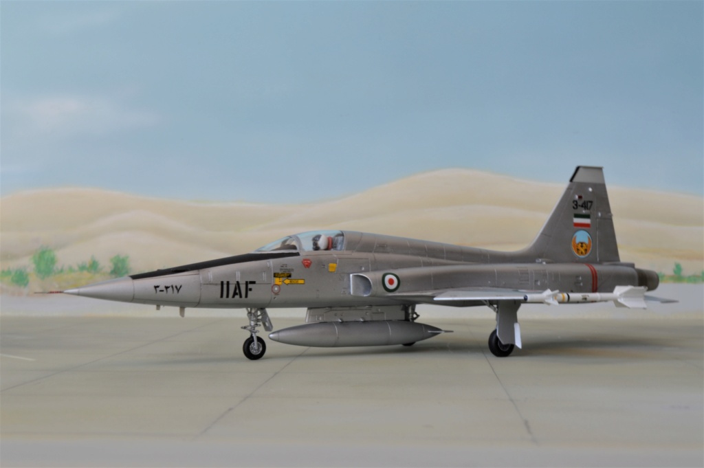[Esci] 1/72 - Northrop  F-5A / RF-5A Freedom Fighter IIAF / IRIAF   (nf5a) - Page 2 Dsc_0320