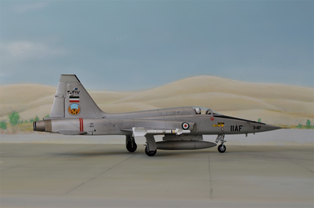 [Esci] 1/72 - Northrop  F-5A / RF-5A Freedom Fighter IIAF / IRIAF   (nf5a) - Page 2 Dsc_0323