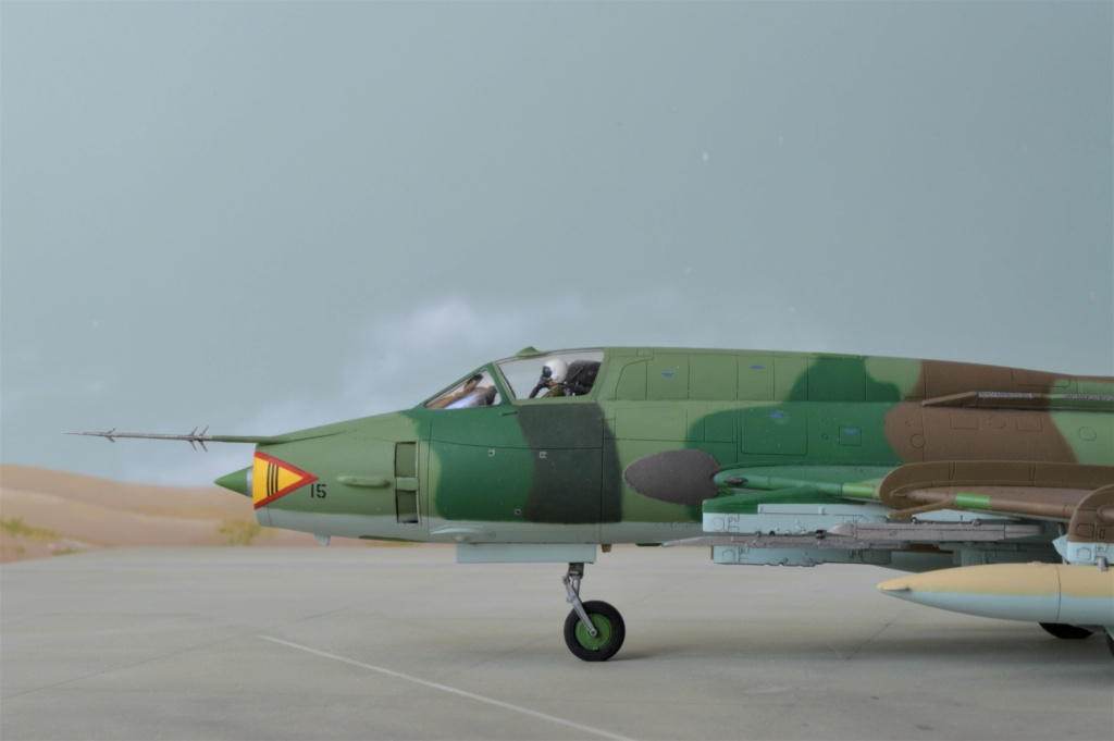 [Modelswit]Sukhoï Su 22M4K Iran   Dsc_0388