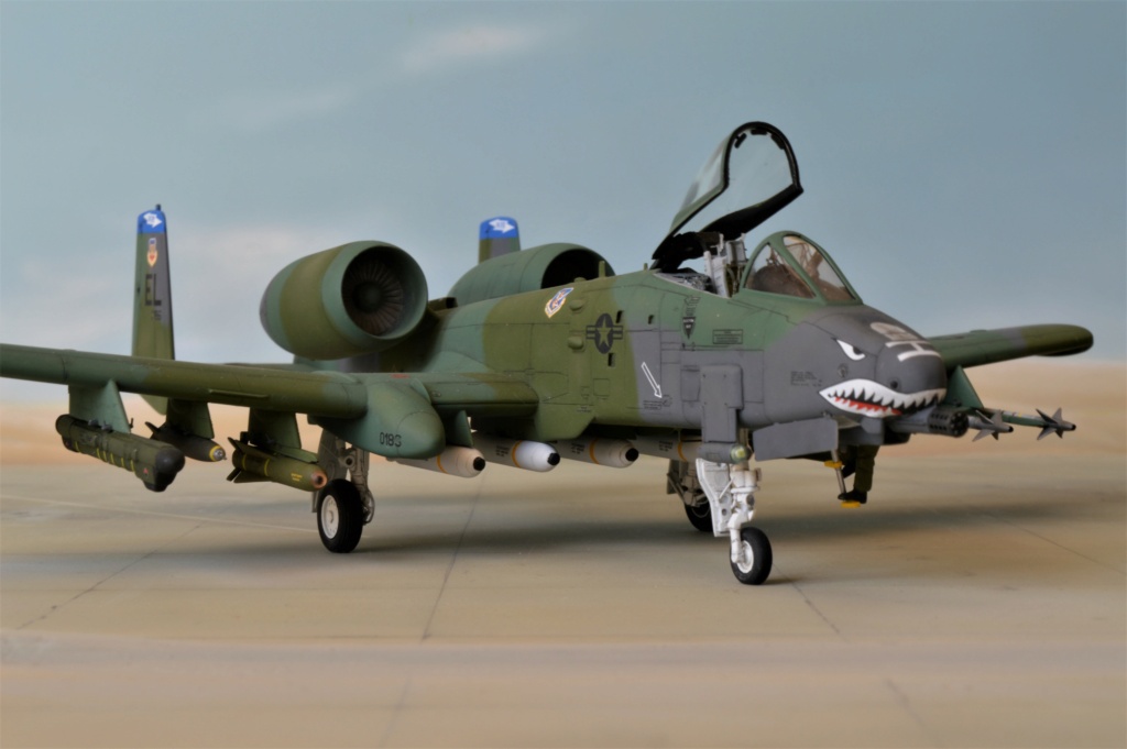 [ Italeri ]  A-10A Warthog  USAF  -fini- - Page 2 Dsc_0522