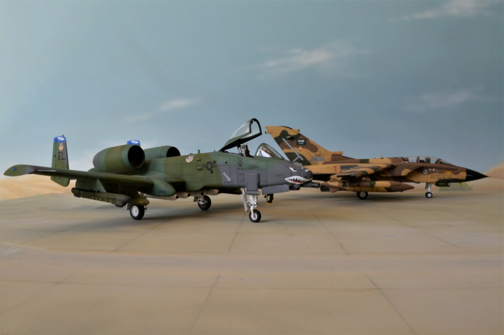 [ Italeri ]  A-10A Warthog  USAF  -fini- - Page 2 Dsc_0526