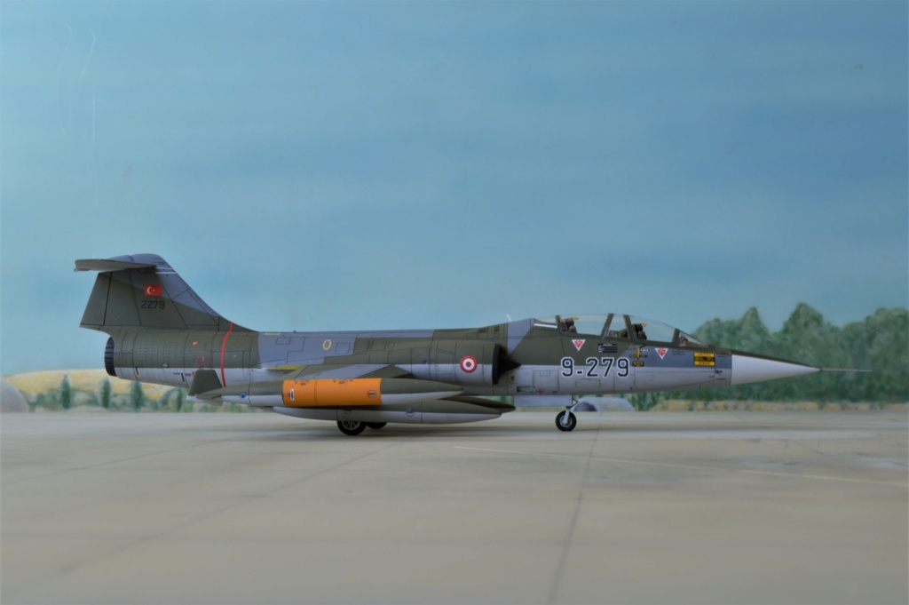 [ Hasegawa]  TF-104 Starfighter Turquie ex-Luftwaffe. fini Dsc_0601