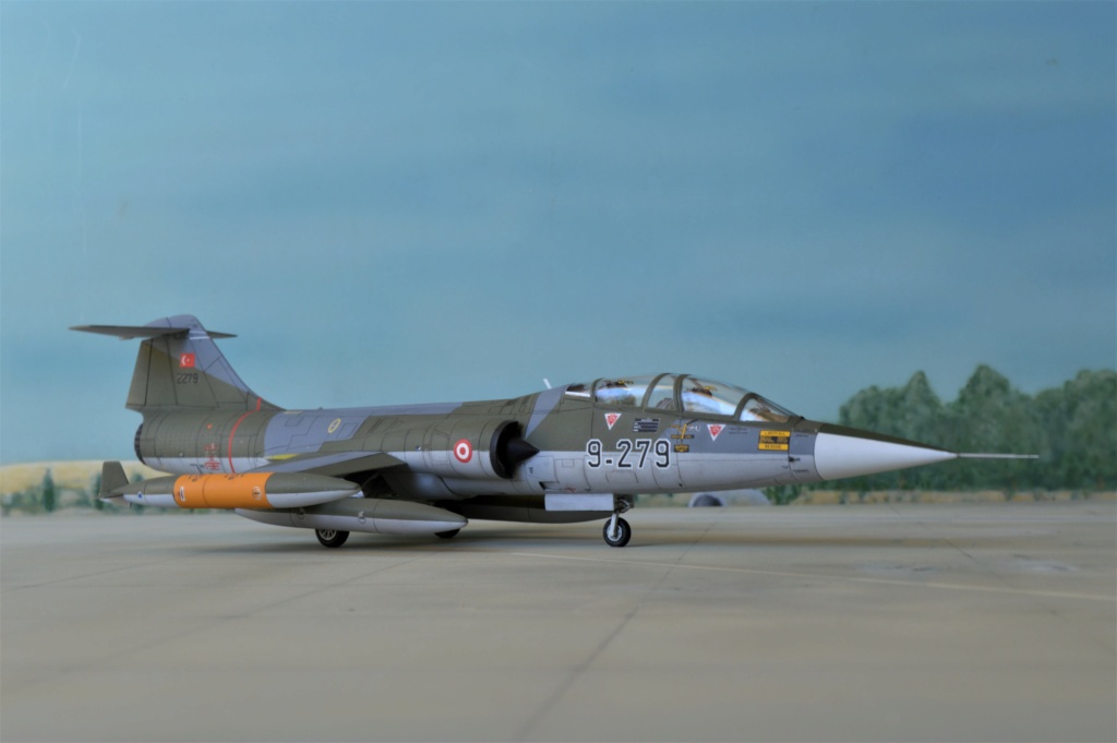 [ Hasegawa]  TF-104 Starfighter Turquie ex-Luftwaffe. fini Dsc_0603