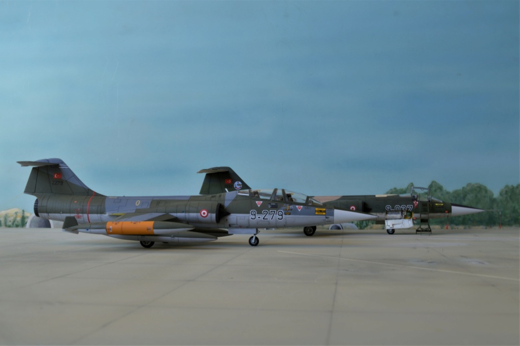 [ Hasegawa]  TF-104 Starfighter Turquie ex-Luftwaffe. fini Dsc_0605