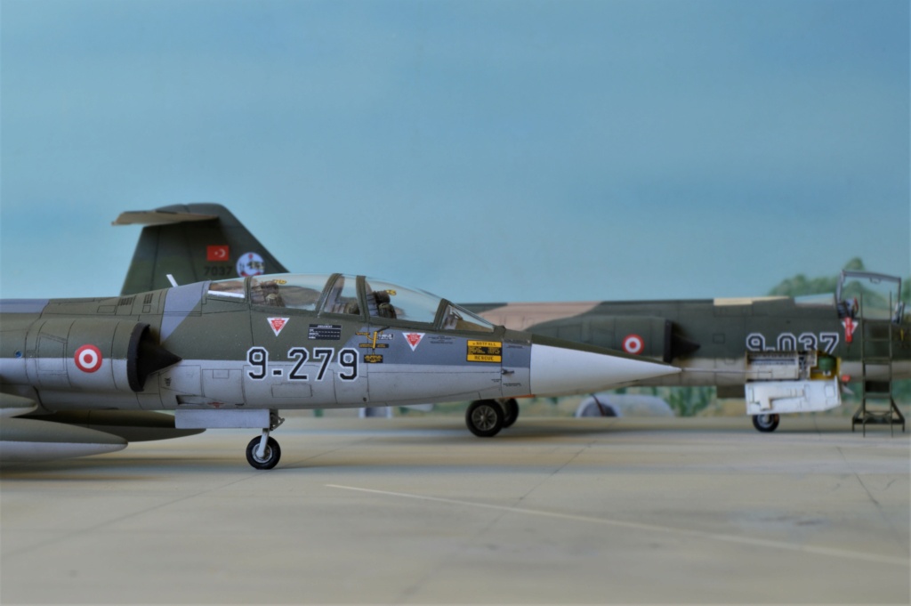 [ Hasegawa]  TF-104 Starfighter Turquie ex-Luftwaffe. fini Dsc_0606