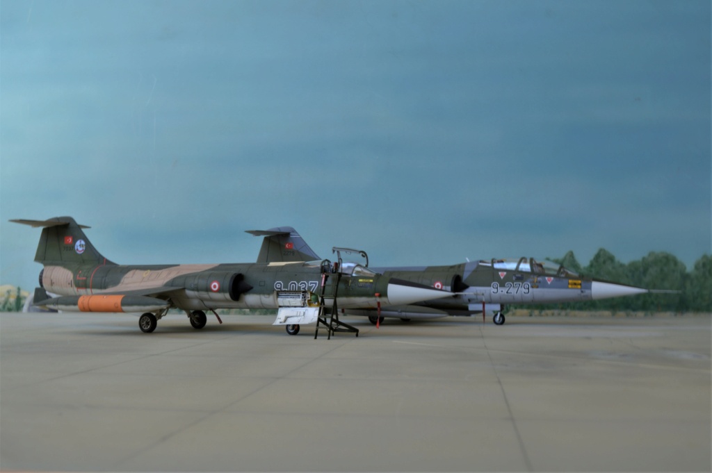 [ Hasegawa]  TF-104 Starfighter Turquie ex-Luftwaffe. fini Dsc_0608