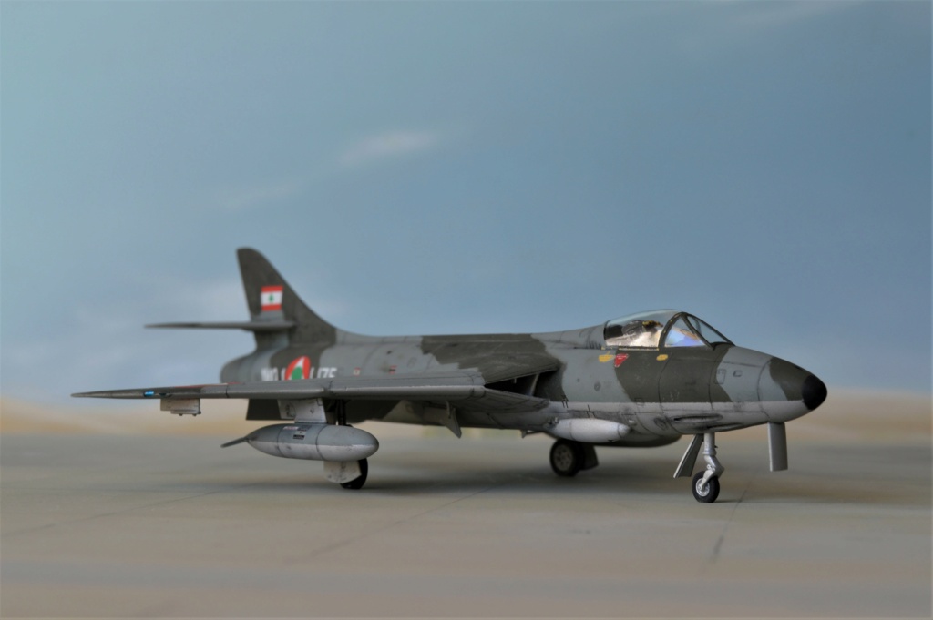  [ Revell + PJ Production]  Hawker Hunter T.79  Qatar - Fini Dsc_0612