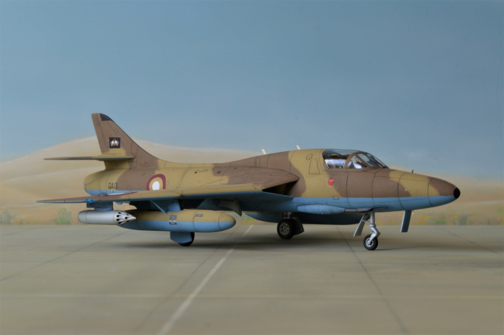  [ Revell + PJ Production]  Hawker Hunter T.79  Qatar - Fini Dsc_0617