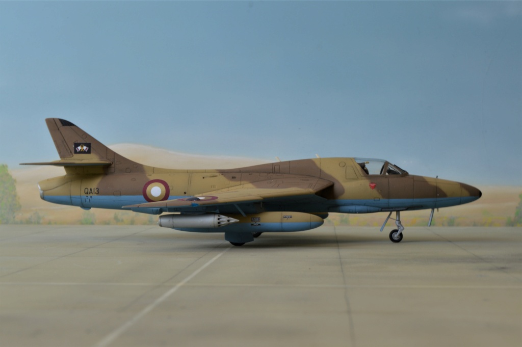  [ Revell + PJ Production]  Hawker Hunter T.79  Qatar - Fini Dsc_0619