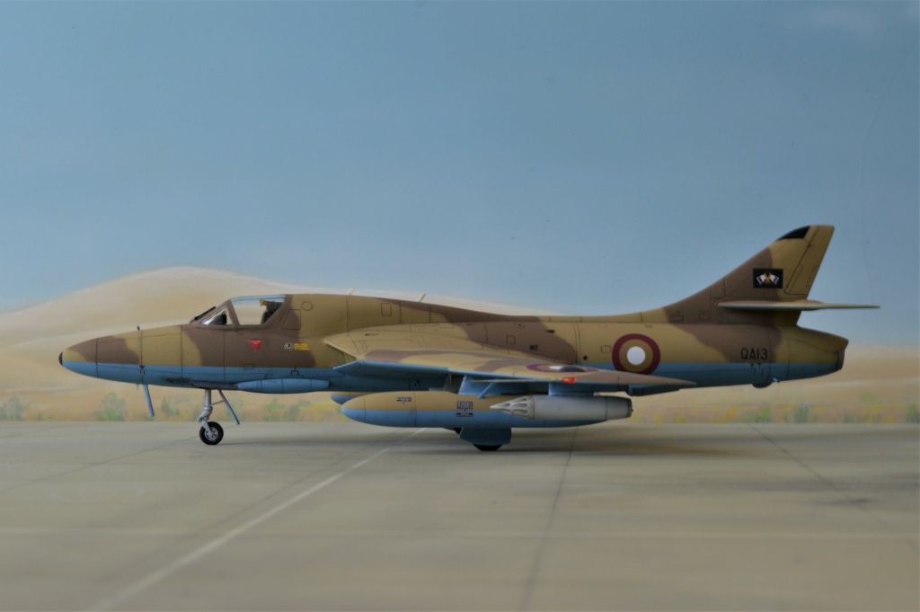  [ Revell + PJ Production]  Hawker Hunter T.79  Qatar - Fini Dsc_0622