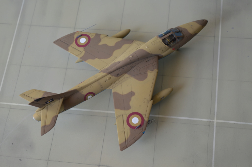 [ Revell + PJ Production]  Hawker Hunter T.79  Qatar - Fini Dsc_0623