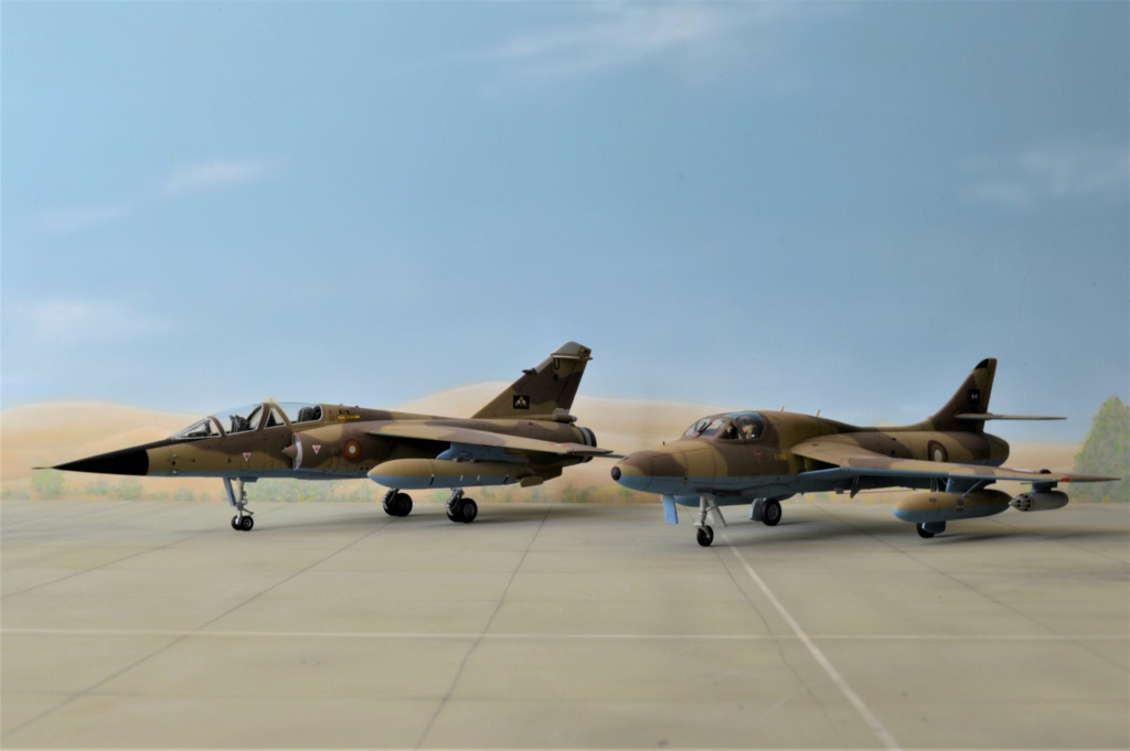  [ Revell + PJ Production]  Hawker Hunter T.79  Qatar - Fini Dsc_0626