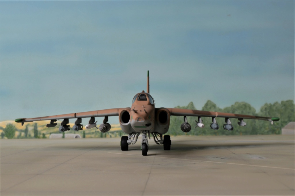 [ Zvezda] SU-25 Frogfoot  Irak 1991  FINI - Page 2 Dsc_0641