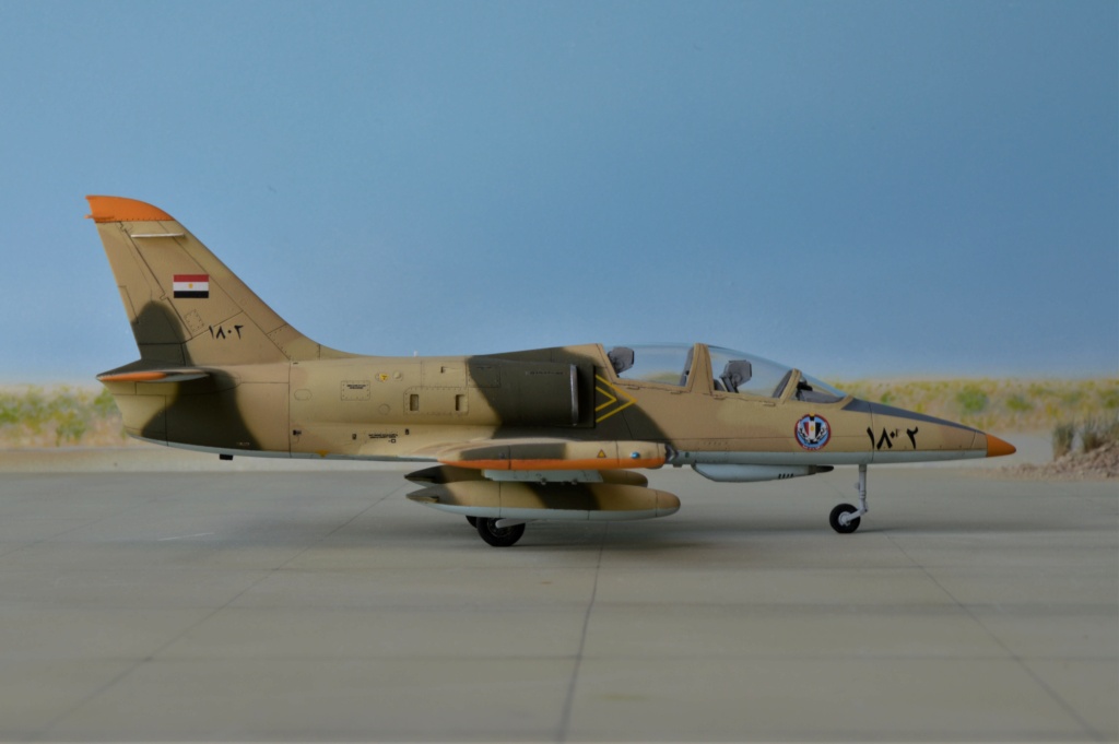[ Eduard]  Aero L-39C Albatros  Egypt  /  [ KP ]  Aero L-159A ALCA  Irak  FINI - Page 2 Dsc_0687
