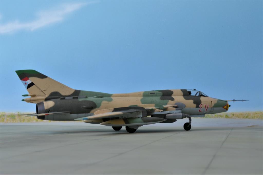 [ Modelsvit] Su-22 M3 J + [ Vespa Model Kit]  South Yemen [FINI] - Page 2 Dsc_0715