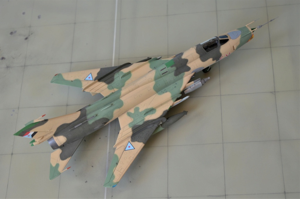 [ Modelsvit] Su-22 M3 J + [ Vespa Model Kit]  South Yemen [FINI] - Page 2 Dsc_0723