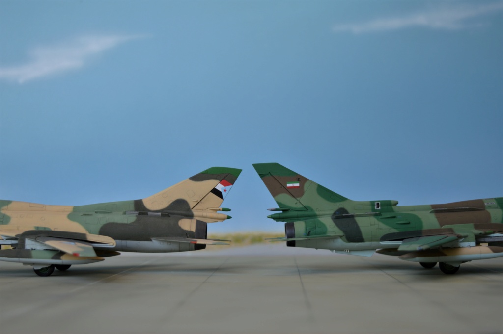 [ Modelsvit] Su-22 M3 J + [ Vespa Model Kit]  South Yemen [FINI] - Page 2 Dsc_0725