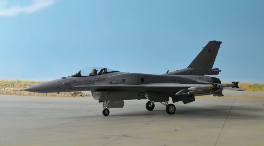 [ Tamiya]  F-16 Block 50 Oman [fini] Dsc_0745