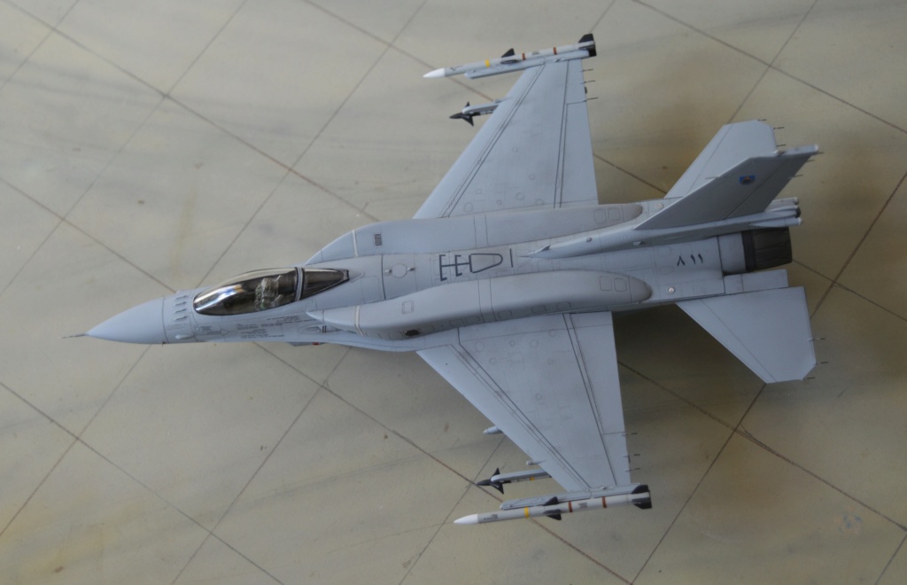 [ Tamiya]  F-16 Block 50 Oman [fini] Dsc_0750