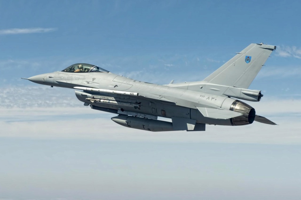 [ Tamiya]  F-16 Block 50 Oman [fini] Image11