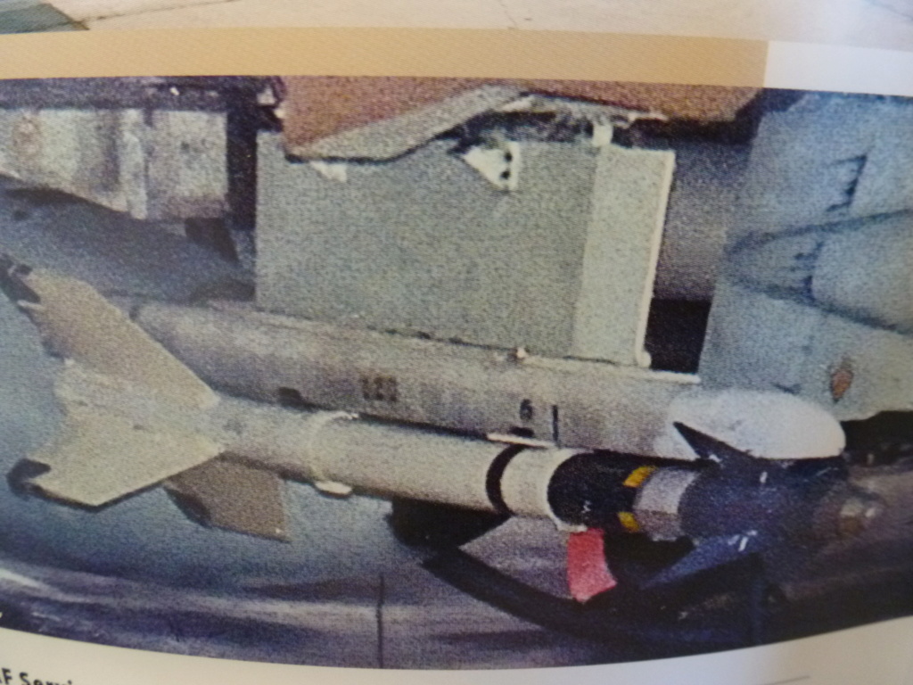 F 4E Phantom Israël  1/72  Hasegawa P1150513