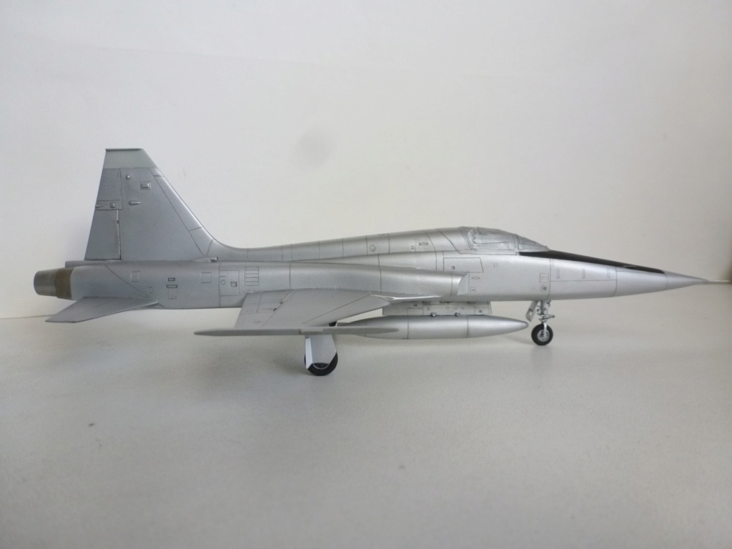 [Esci] 1/72 - Northrop  F-5A / RF-5A Freedom Fighter IIAF / IRIAF   (nf5a) P1170824