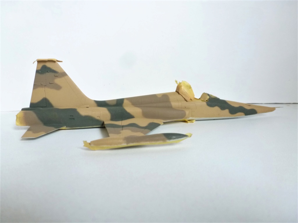 [Esci] 1/72 - Northrop  F-5A / RF-5A Freedom Fighter IIAF / IRIAF   (nf5a) P1170912