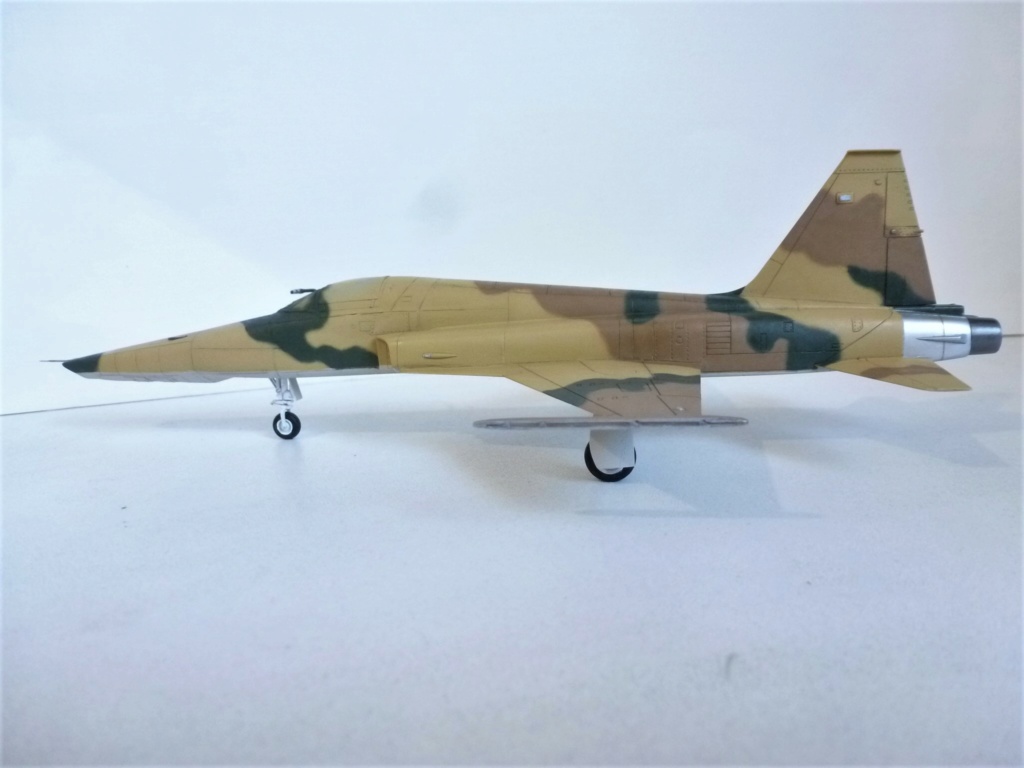 [DreamModel]  RF 5E Tigereye  Saudi Arabia P1200918