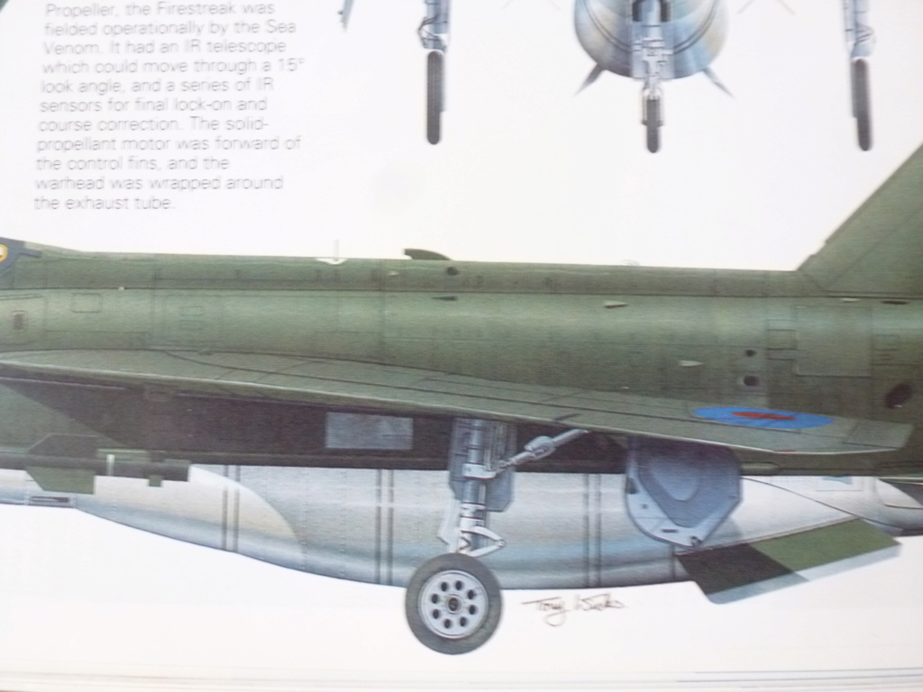 [ Sword + Airfix]  EE Lightning  T-Mk 55  Koweït  P1210615