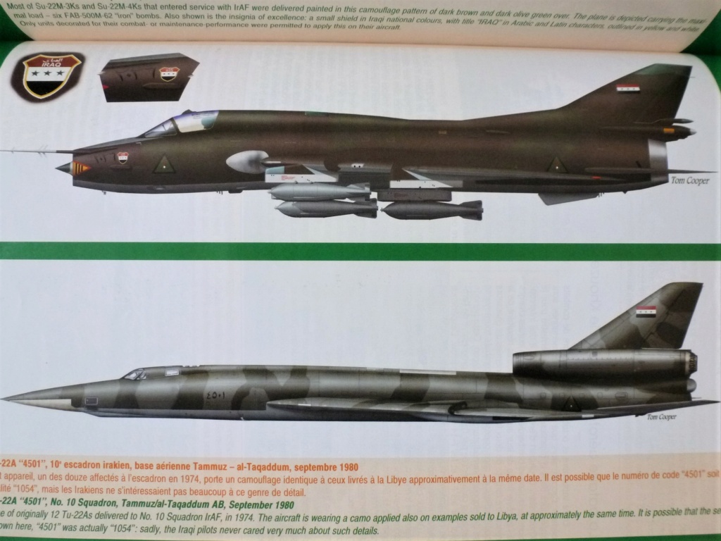 [ Italeri] TU 22 Blinder  Irak P1220027