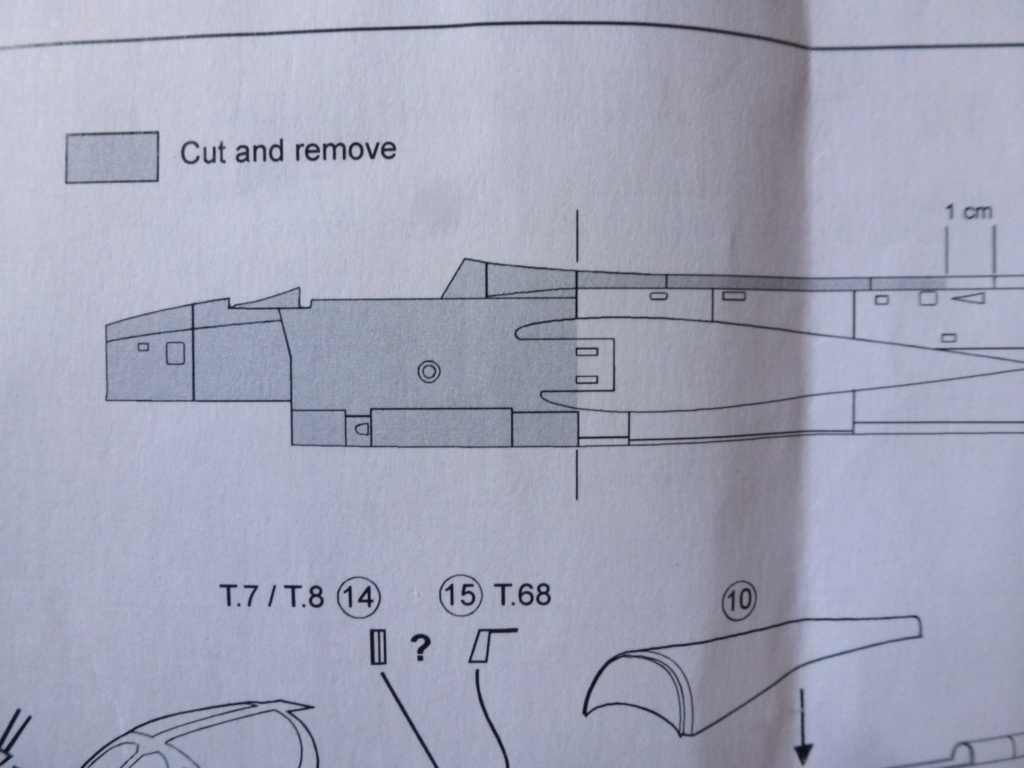  [ Revell + PJ Production]  Hawker Hunter T.79  Qatar - Fini P1230914