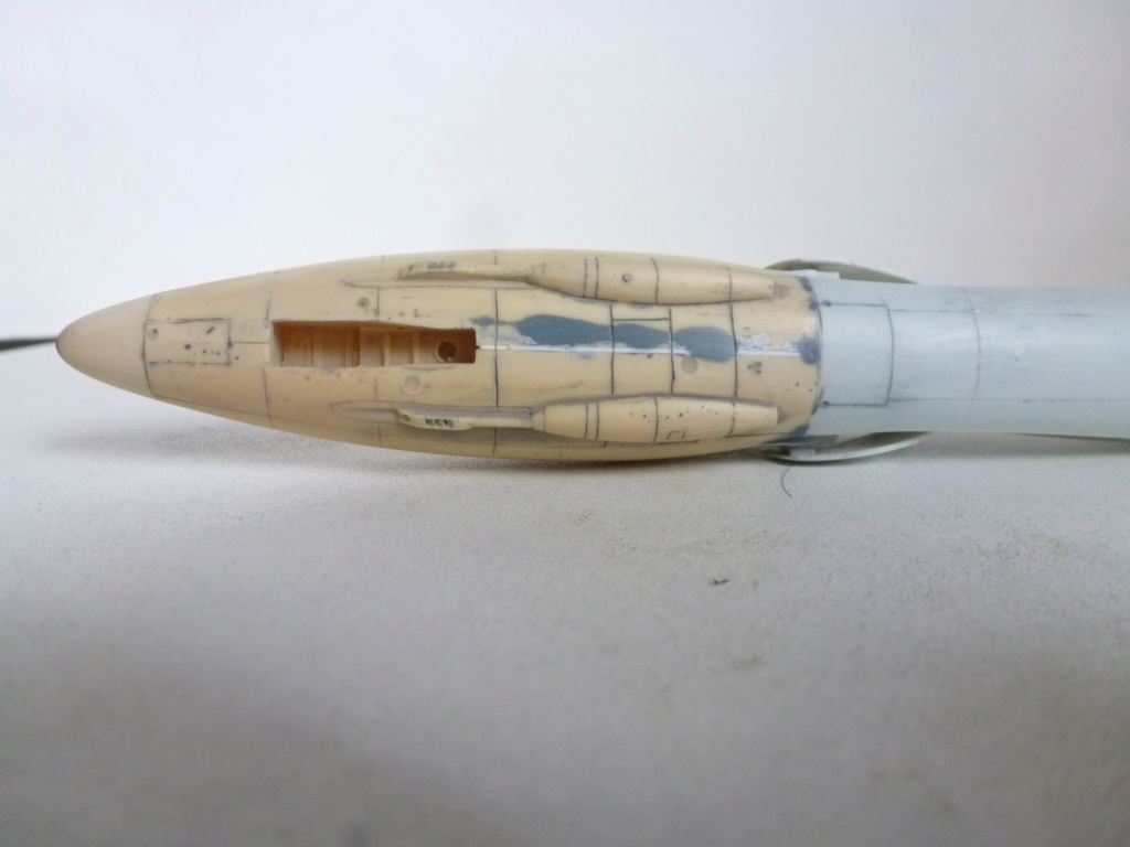  [ Revell + PJ Production]  Hawker Hunter T.79  Qatar - Fini P1230933