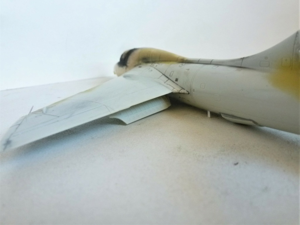  [ Revell + PJ Production]  Hawker Hunter T.79  Qatar - Fini P1240016