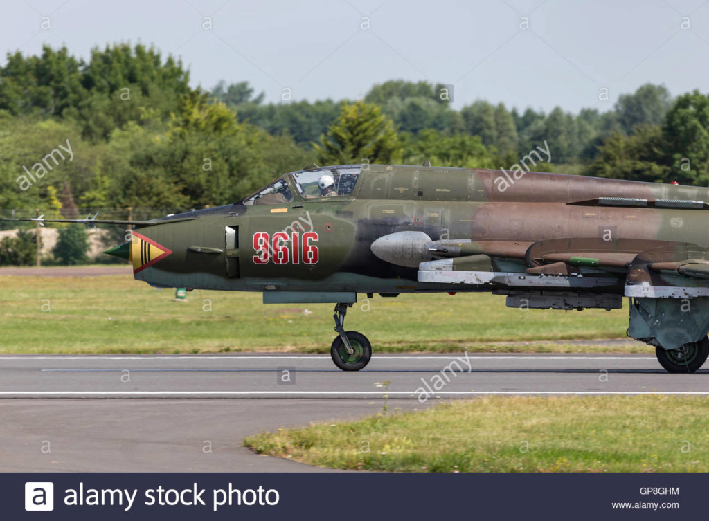 Modelsvit (+ Italeri)  Su 17 customisé en SU 22 M4  Iran AF  1/72 Polish10
