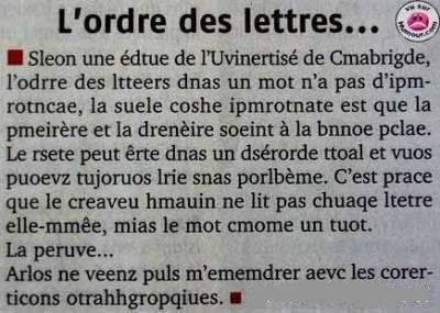 L'écriture de mimi  15034210