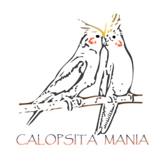 Calopsita Mania