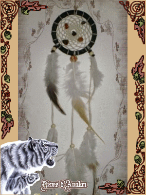 Dreamcatcher Minninewah Cornaline, oeil de tigre Minnin10