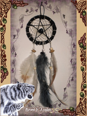 Dreamcatcher Minninewah Pentagramme Minnin12