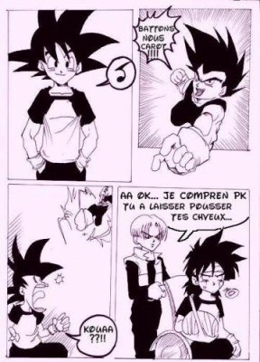 Un couple peu commun    <3  Bulma et Vegeta  <3 - Page 2 Carot10