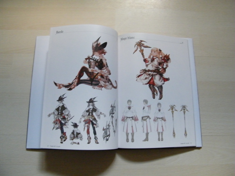 Final Fantasy XIV Reborn ..... Collector !!!!! - Page 3 Dscf0530