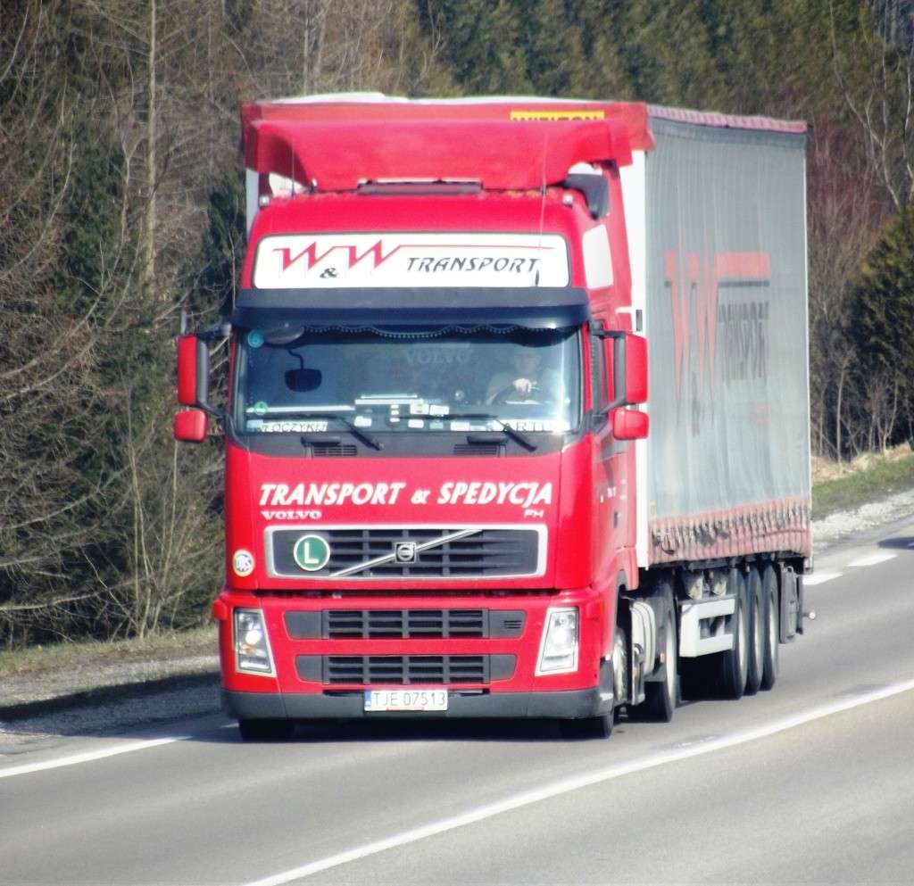 W&W Transport (Jedrzejow) Photo470